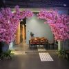 Cây hoa anh đào giả 2,5m thân gỗ thật