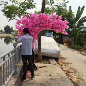Cây hoa anh đào giả 2,5m tán nghiêng một bên