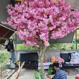 cây hoa anh đào giả 2,5m